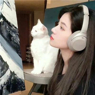 梦里乾坤